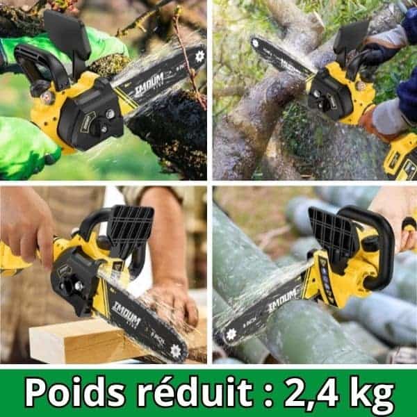 Mini motosega a batteria per taglio legno e rami.
